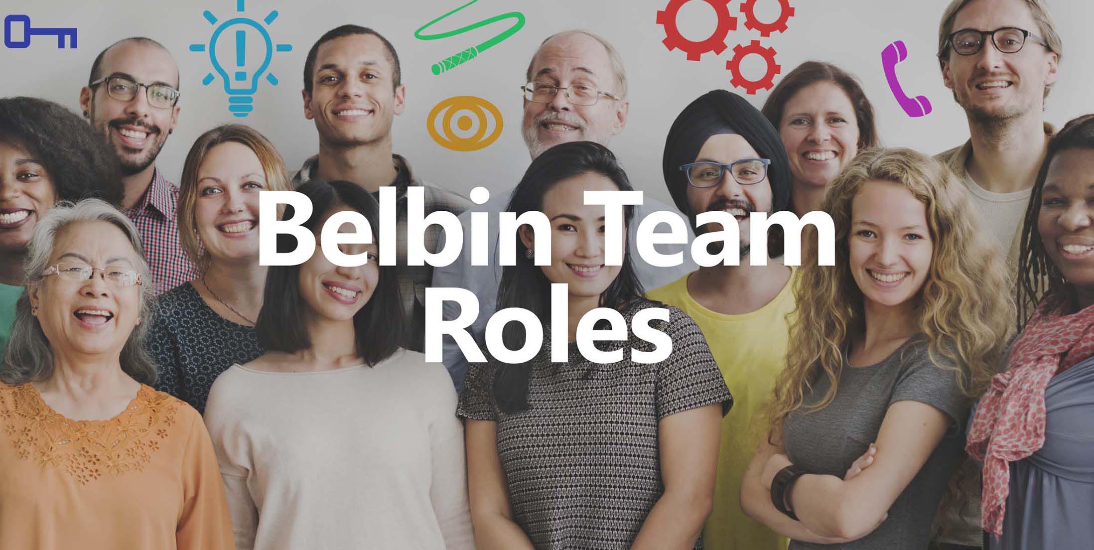 Belbin Team Roles